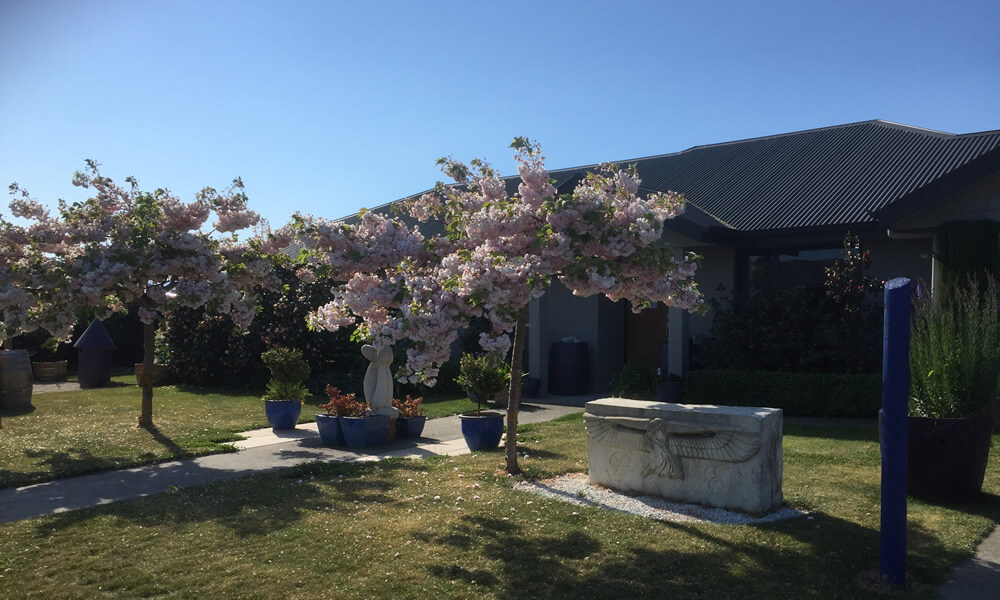  Main Entrance To Pampers Escape Beauty Therapy Clinic In Blenheim Marlborough NZ